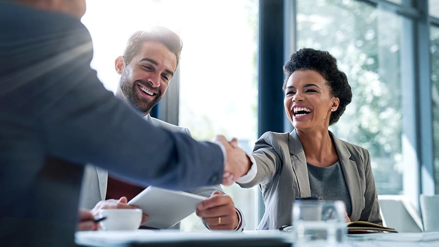 Diverse group of professionals meeting and greeting each other with a handshake.